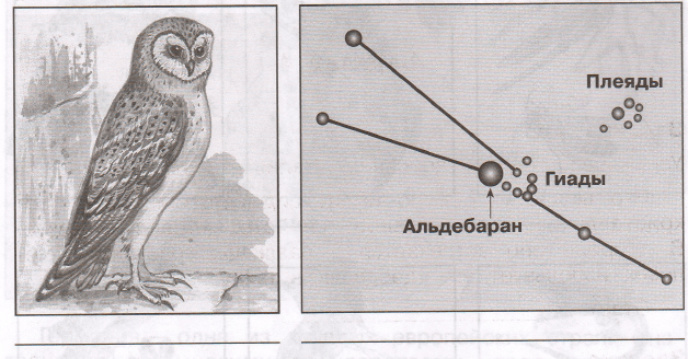 Задание рисунок 1