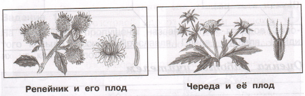 Задание рисунок 1