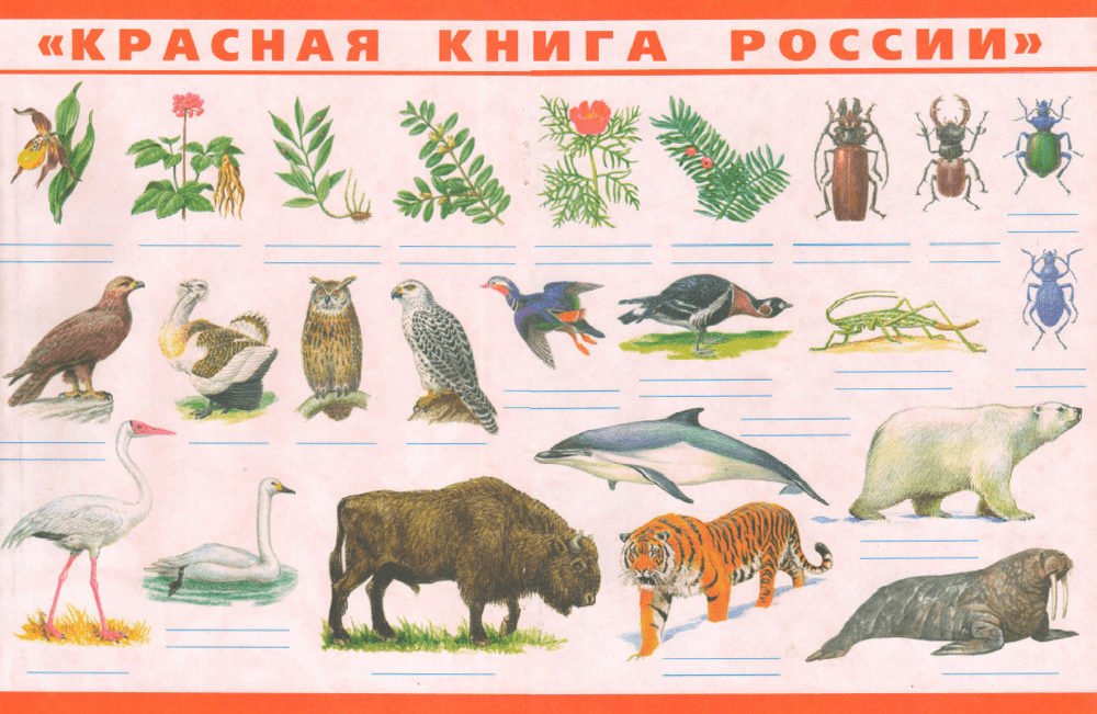 Задание рисунок 1