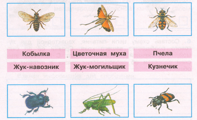 Задание рисунок 1