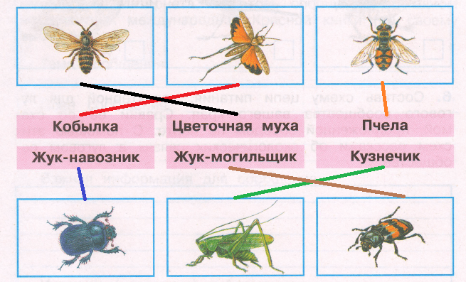 Решение рисунок 1