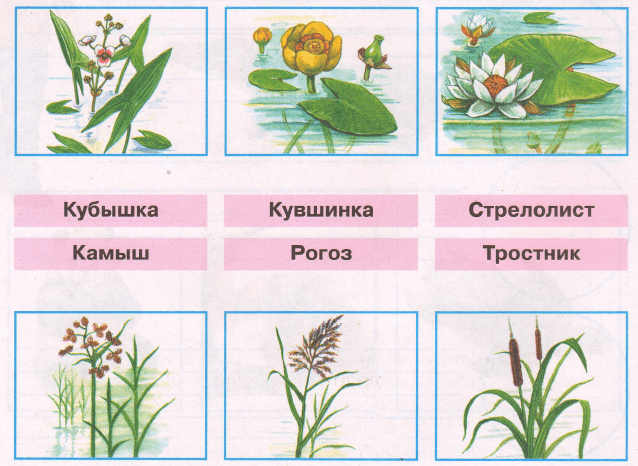 Задание рисунок 1