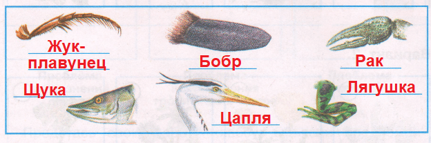 Решение рисунок 1