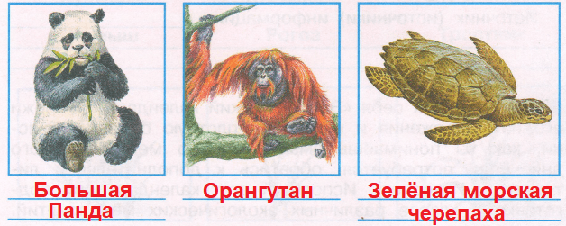 Решение рисунок 2