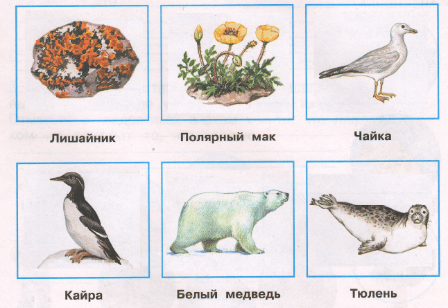 Решение рисунок 1