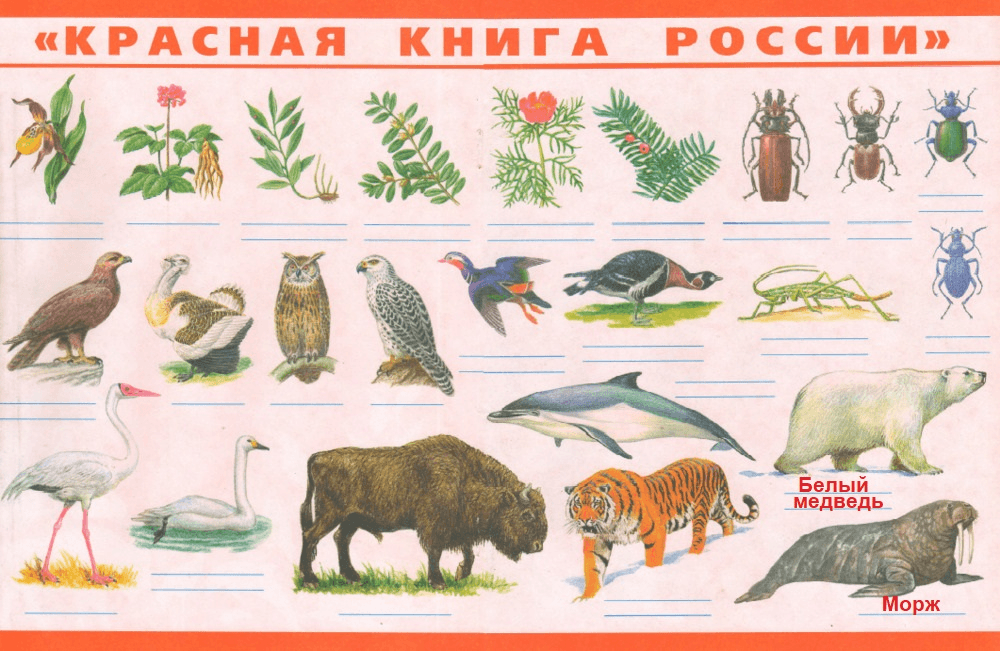 Решение рисунок 1