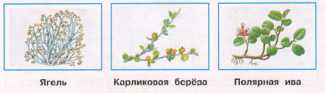 Решение рисунок 1