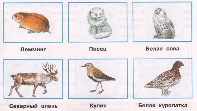 Решение рисунок 2