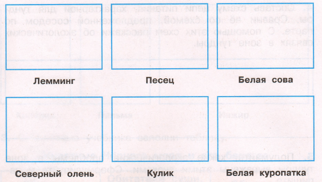 Задание рисунок 2