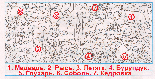 Решение рисунок 3