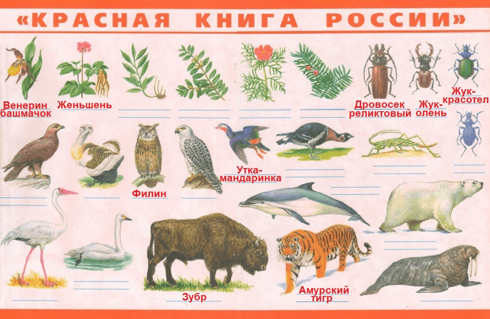 Решение рисунок 1