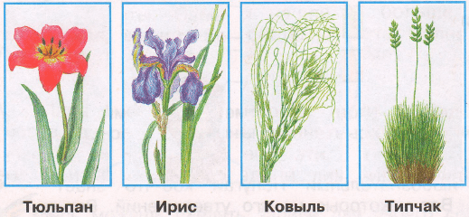 Решение рисунок 1