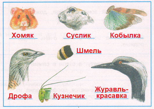 Решение рисунок 1