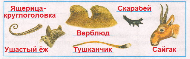 Решение рисунок 1