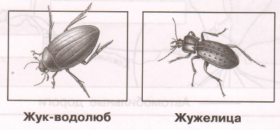 Задание рисунок 1