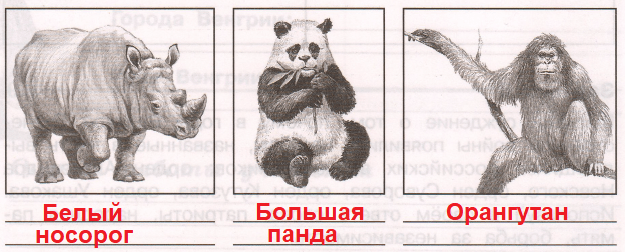 Решение рисунок 1