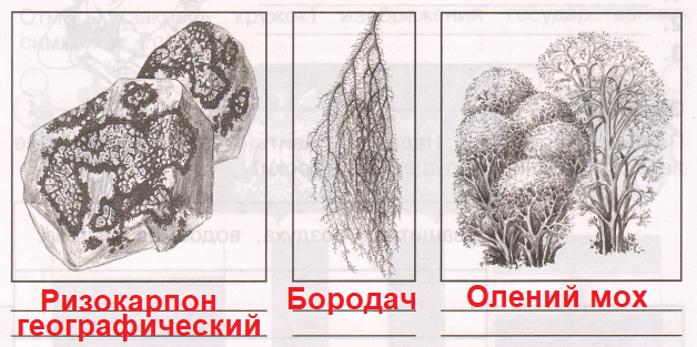 Решение рисунок 1