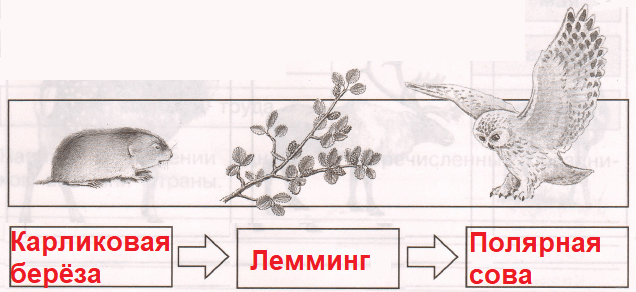 Решение рисунок 1