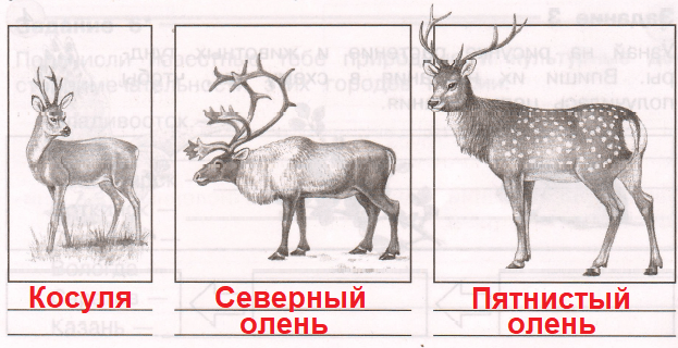 Решение рисунок 1