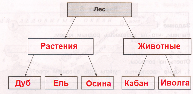 Решение рисунок 1