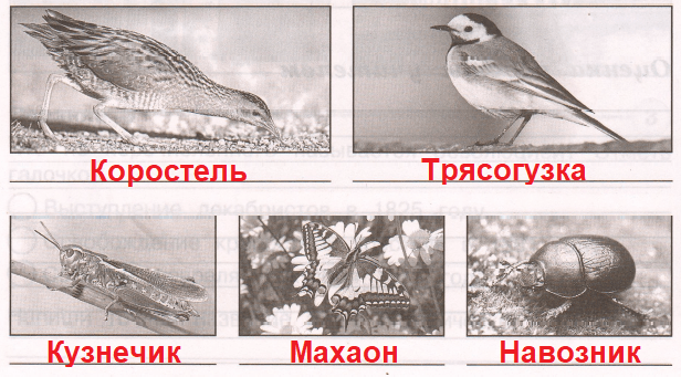 Решение рисунок 1