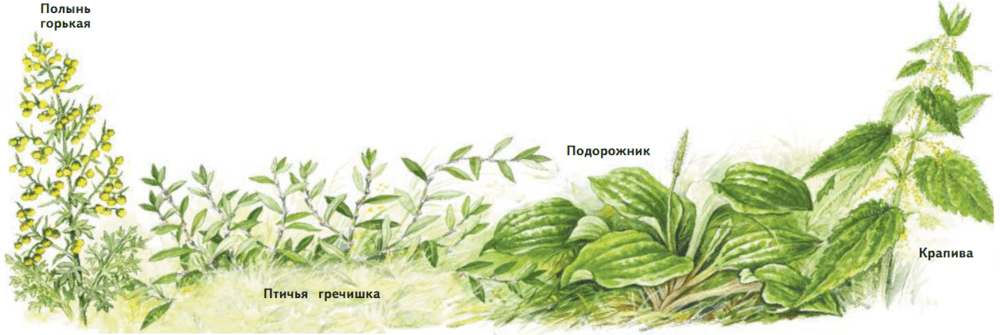 Задание рисунок 1