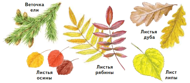 Задание рисунок 1