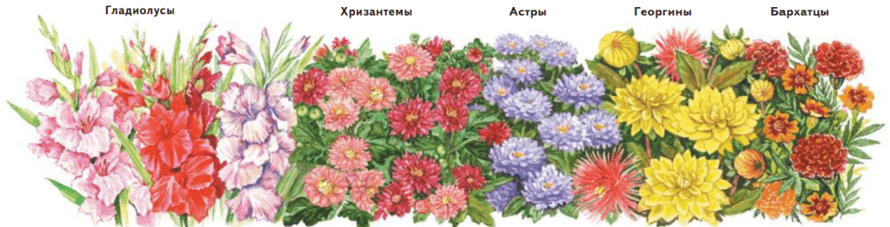 Задание рисунок 1