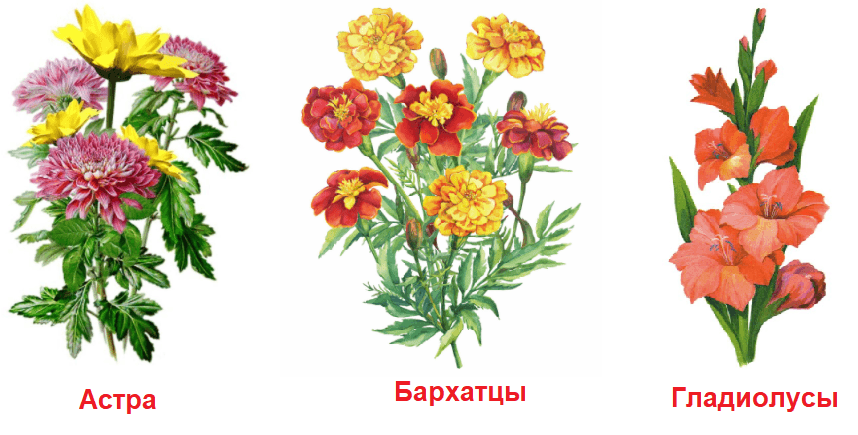 Решение рисунок 1