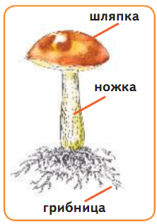 Задание рисунок 2