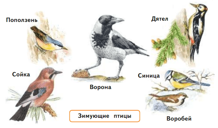 Задание рисунок 2