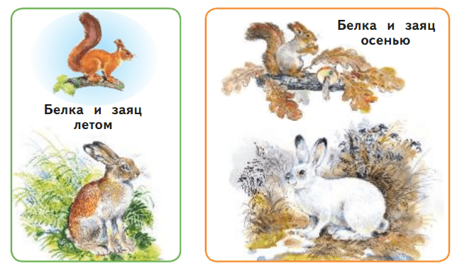 Задание рисунок 1