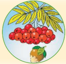 Решение рисунок 5