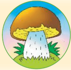 Решение рисунок 6