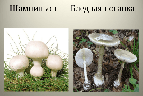 Решение рисунок 1