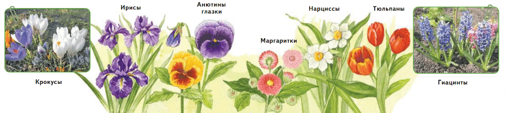 Задание рисунок 1