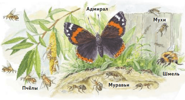 Задание рисунок 2