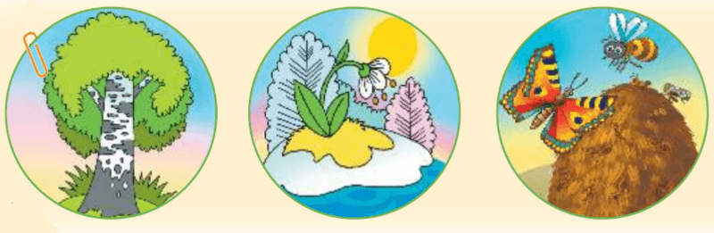 Задание рисунок 1