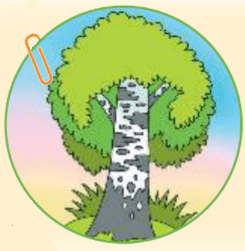Решение рисунок 1
