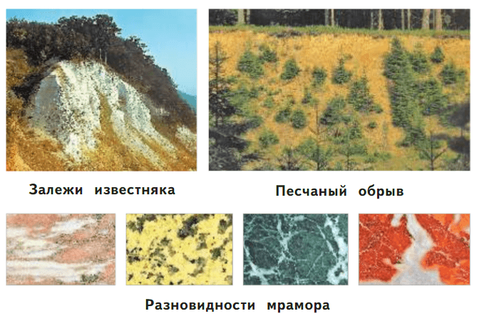Задание рисунок 2