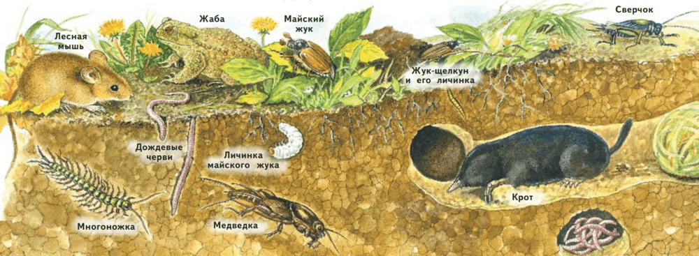 Задание рисунок 1