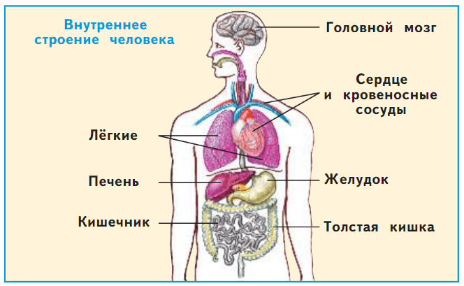 Задание рисунок 2