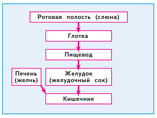 Задание рисунок 2