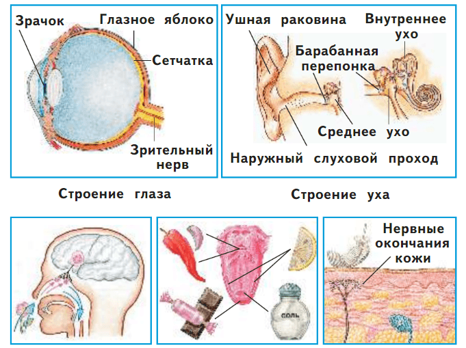 Задание рисунок 1