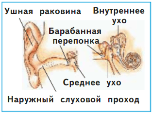 Решение рисунок 1