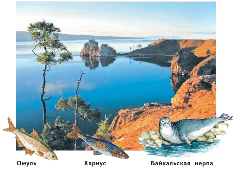 Задание рисунок 1