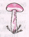 Задание рисунок 1