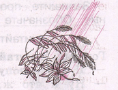 Задание рисунок 1