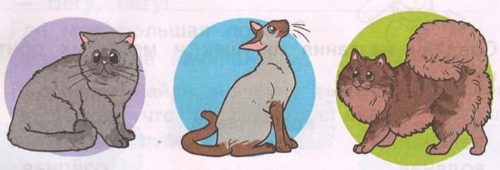 Задание рисунок 1