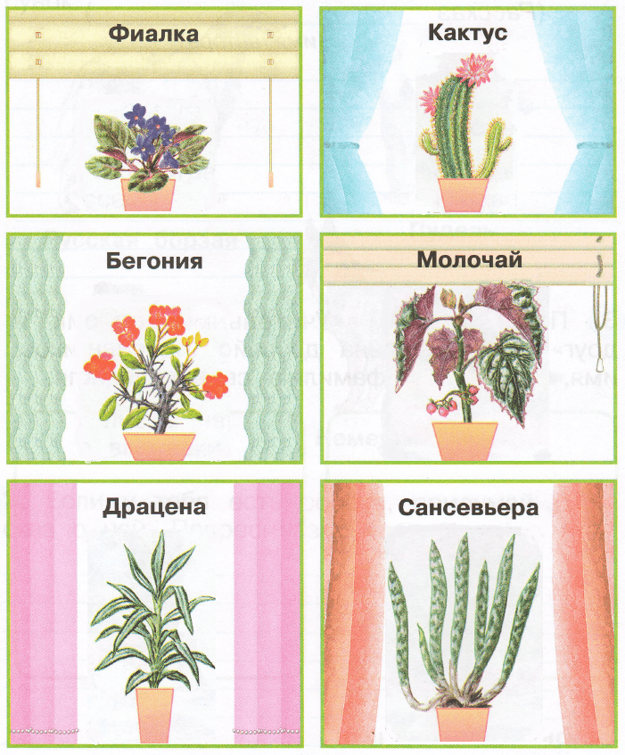 Решение рисунок 1